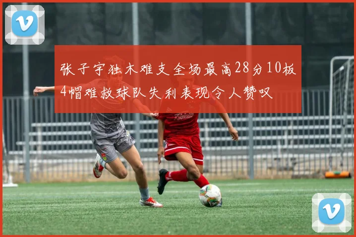 张子宇独木难支全场最高28分10板4帽难救球队失利表现令人赞叹